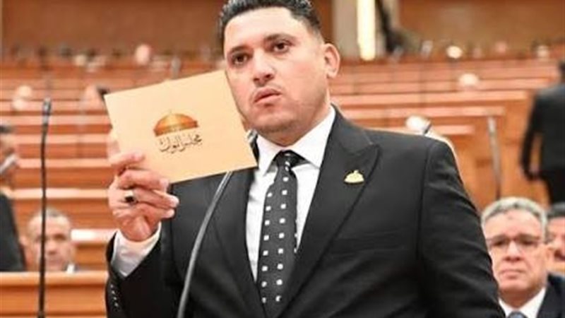 النائب أسامة عبدالشكور