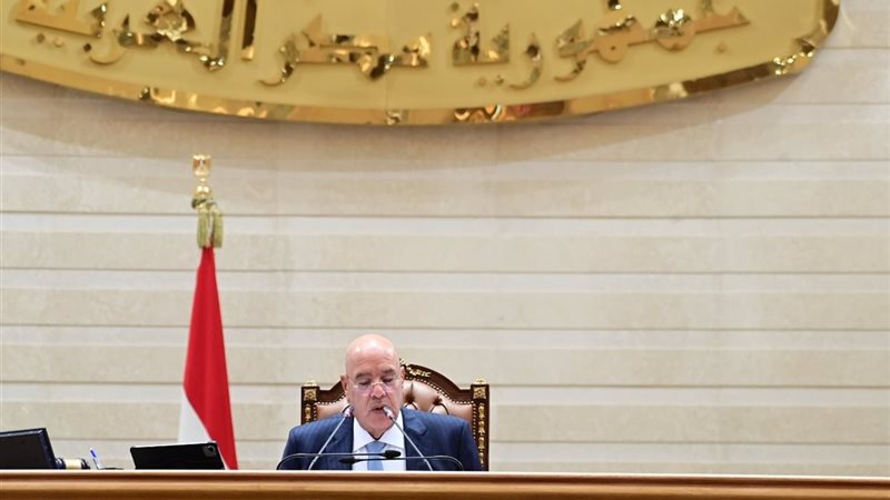 المستشار هشام بدوي،