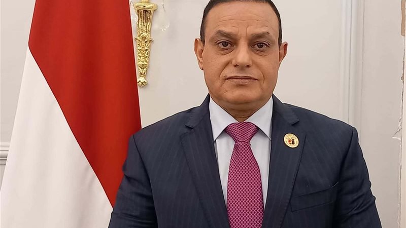 النائب مختار همام،