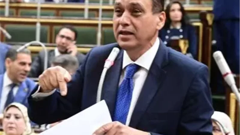 النائب علاء فؤاد،