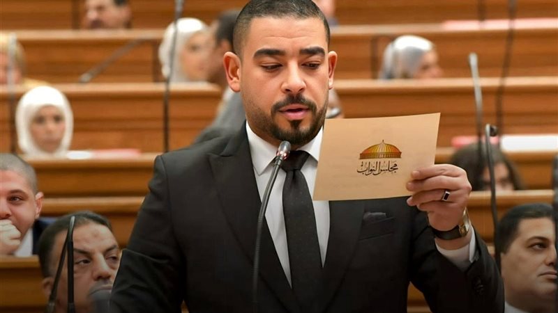 النائب أحمد رجب الشافعي،