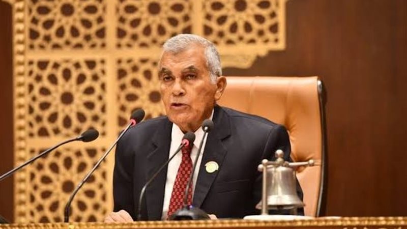 المستشار عصام فريد،