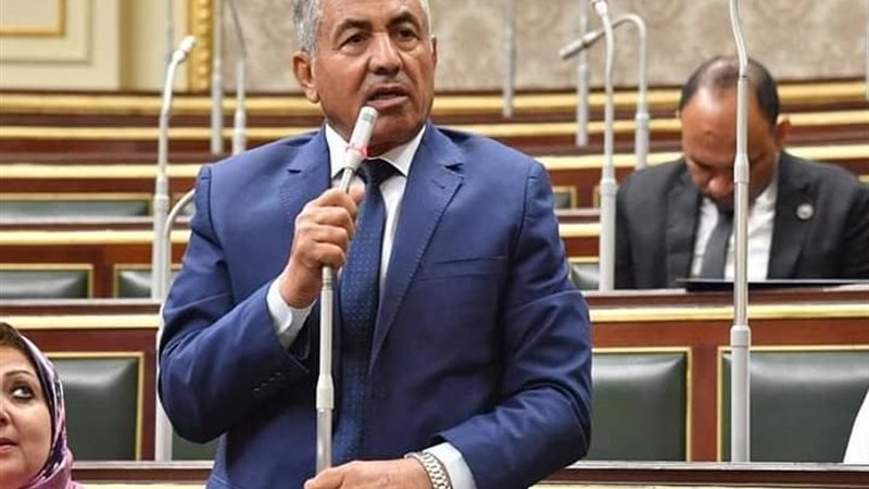 النائب أحمد العوضي