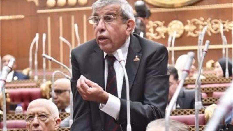 النائب علاء عبد النبي