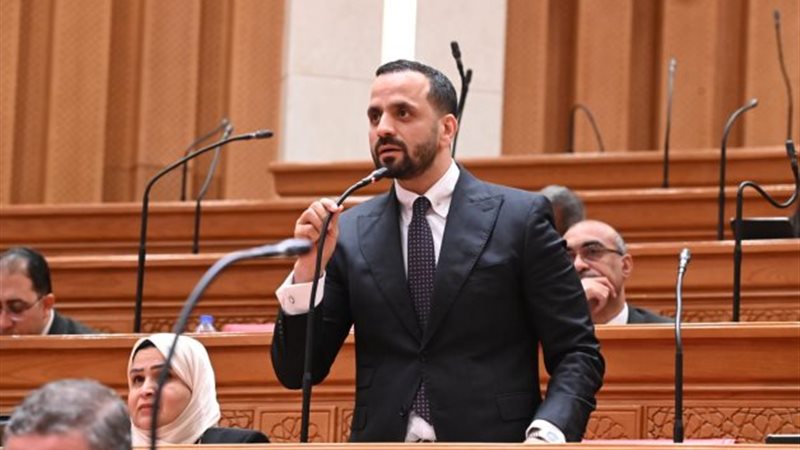 النائب محمد عبد الحفيظ