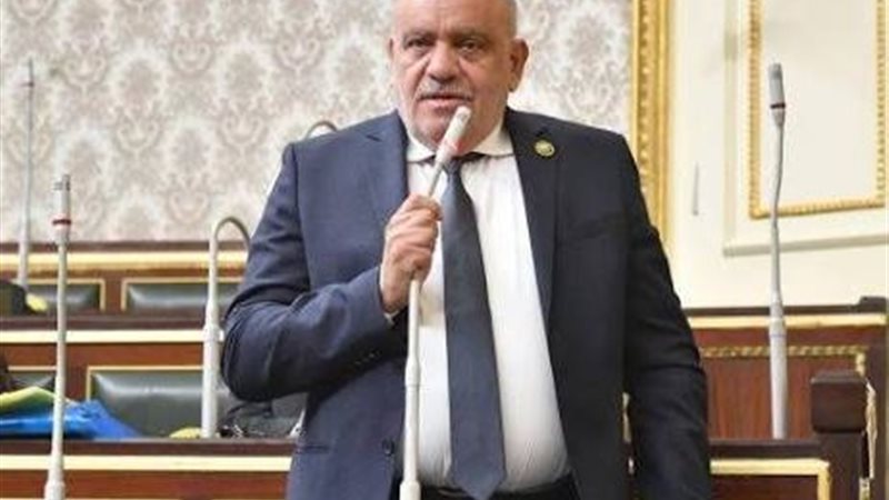 النائب سيد حنفي طه