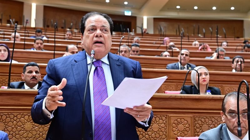 النائب محمد أبو العينين