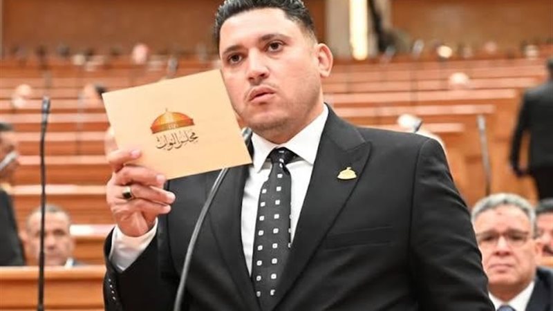  النائب أسامة عبدالشكور