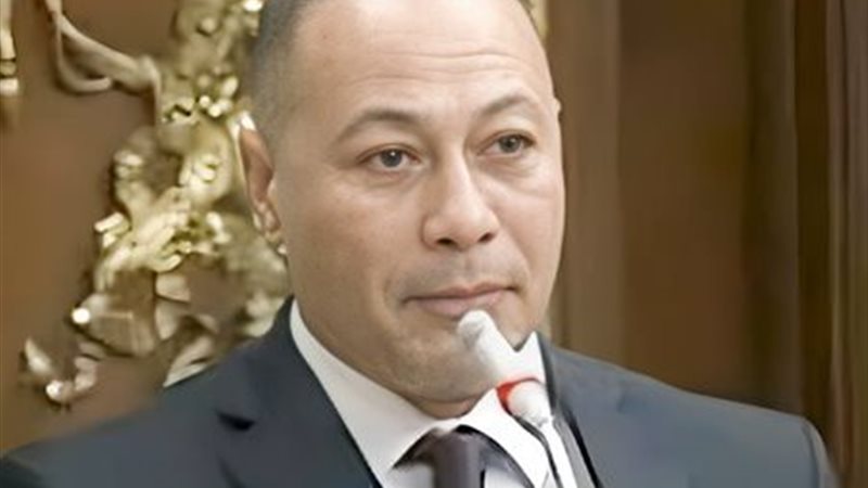  النائب علاء سليمان،