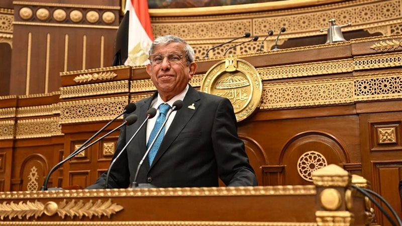 النائب علاء عبد النبي