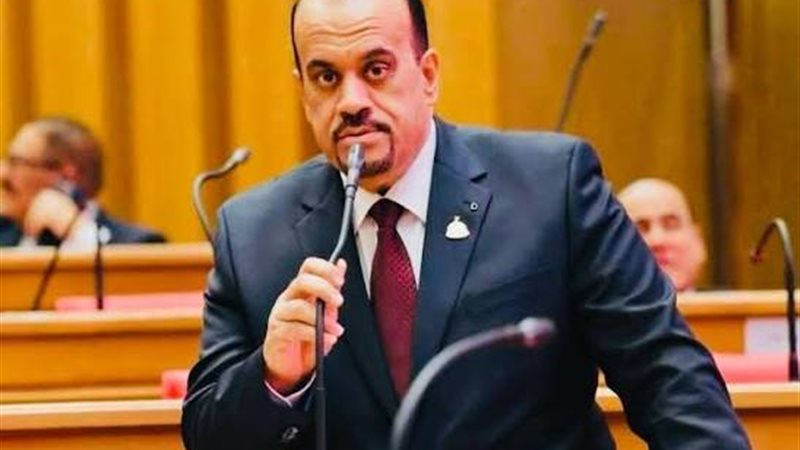 النائب إيهاب إمام