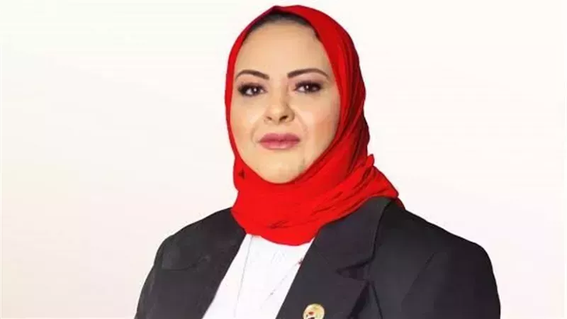 النائبة أماني أبو