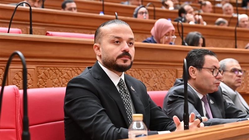  النائب محمد الجارحي