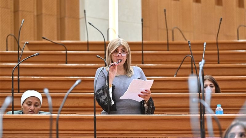 النائبة أميرة فؤاد،