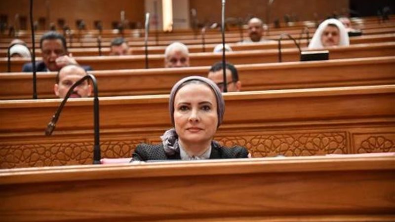 النائبة الدكتورة