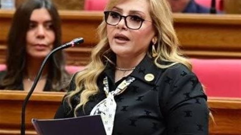 النائبة هبة غالي