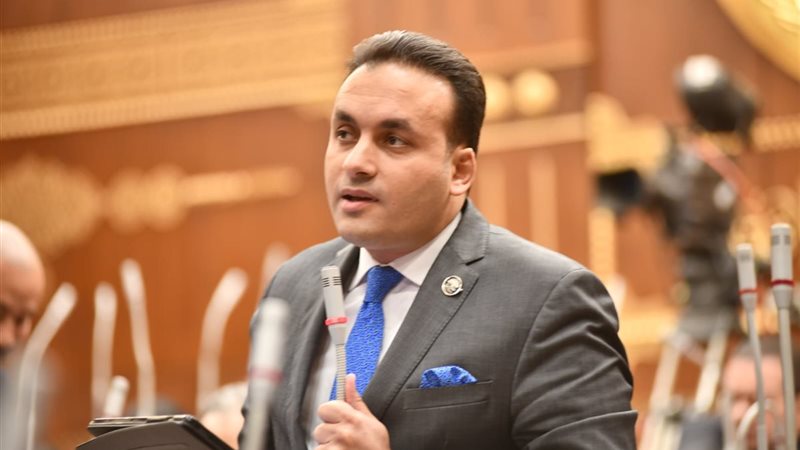النائب عمرو فهمي