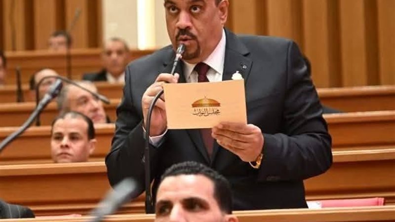  النائب إيهاب إمام،