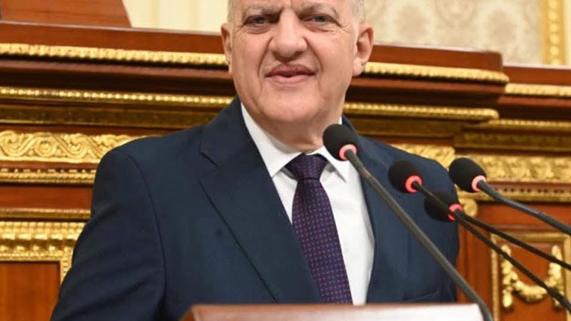النائب طلعت السويدي