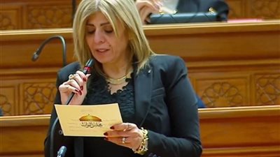 النائبة أميرة فؤاد عضو مجلس النواب  