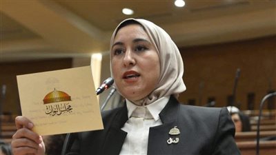 النائبة صافيناز طلعت  