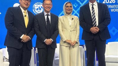 سحر نصر، وكيل لجنة الشئون المالية والاستثمار بمجلس الشيوخ 