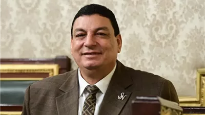 سامي نصر الله عضو لجنة الصناعة بمجلس النواب 