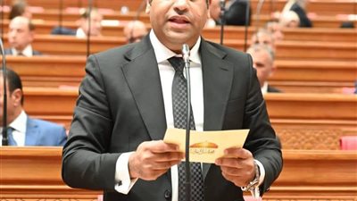 النائب يوسف شعبان الجميل، عضو مجلس النواب 