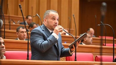 النائب هاني شحاتة 