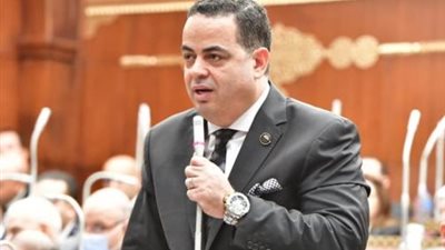 النائب عصام هلال عفيفي 