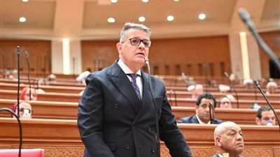 النائب طارق رضوان، رئيس لجنة حقوق الإنسان بمجلس النواب 