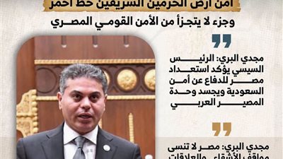 النائب مجدي البري  