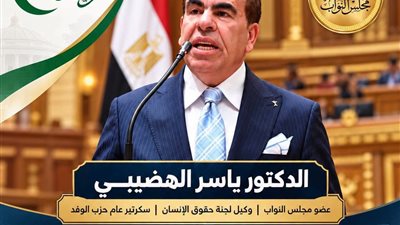 النائب ياسر الهضيبي 