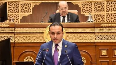 النائب عمرو السعيد فهمي  
