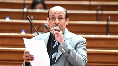 النائب سمير البيومي، عضو مجلس النواب 