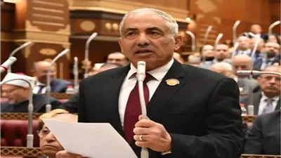 اللواء أحمد العوضي، وكيل أول مجلس الشيوخ  