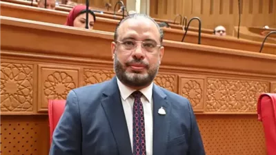 النائب أحمد السبكي، عضو مجلس النواب 