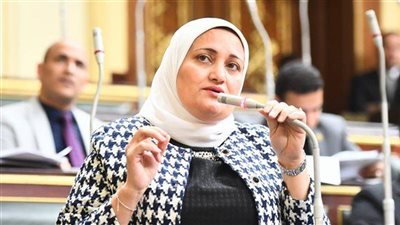 النائبة سناء السعيد، عضو مجلس النواب 
