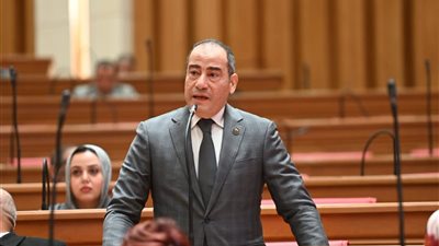 النائب مجاهد نصار، عضو لجنة الصناعة بمجلس النواب 