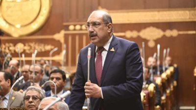 النائب إيهاب وهبة، عضو مجلس الشيوخ 