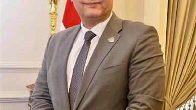 النائب محمد منير ربيع، عضو مجلس النواب 