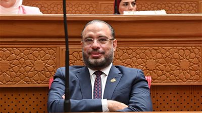 النائب أحمد السبكي، عضو مجلس النواب ولجنة الصحة 