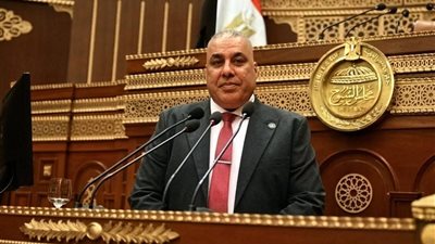 النائب محمد أبو النصر، عضو مجلس الشيوخ عن حزب حماة الوطن 
