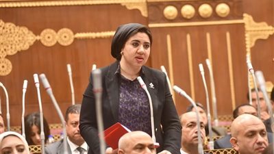 النائبة أميرة صابر 