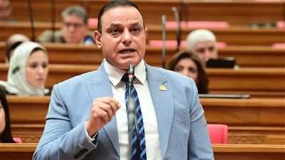 النائب مختار همام، وكيل لجنة الإسكان بمجلس النواب 