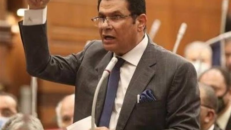 النائب الدكتور محمد