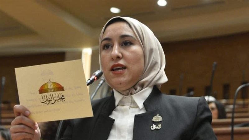 النائبة صافيناز طلعت 