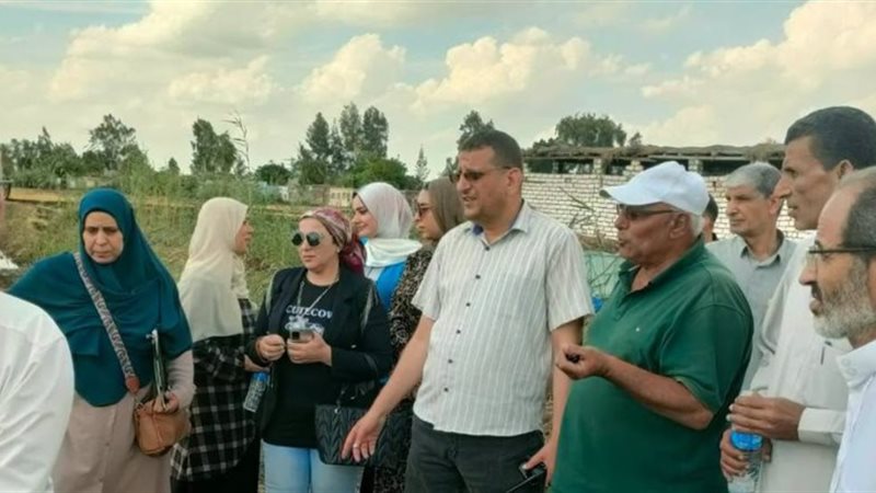 المجلس