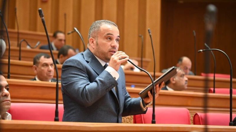النائب هاني شحاتة