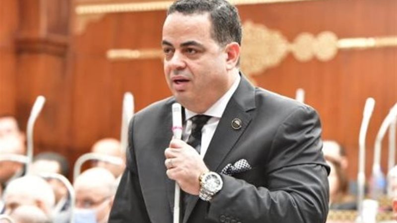 النائب عصام هلال عفيفي